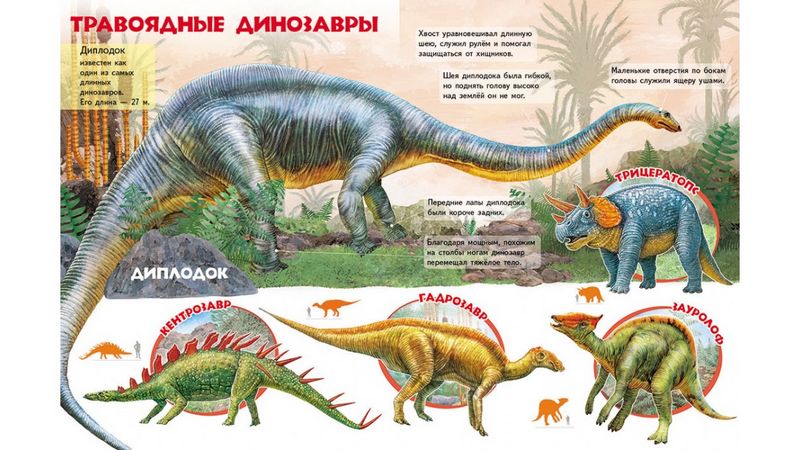 Открытки